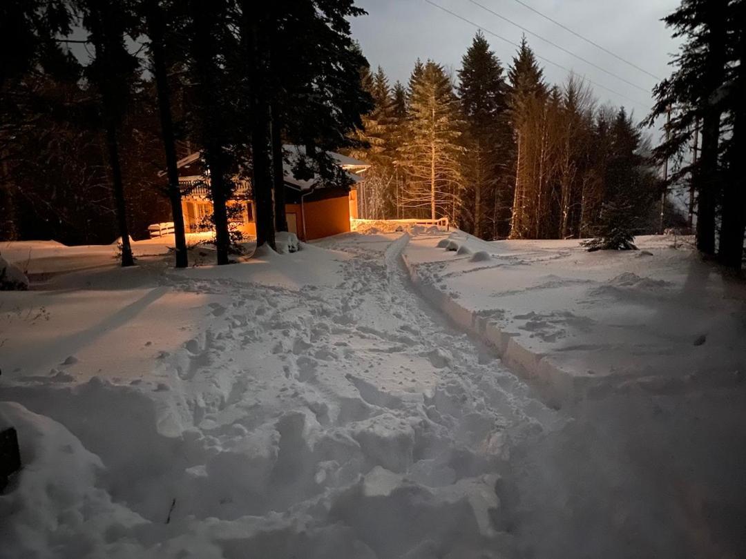 Chalet De Manu Sondernach Kültér fotó